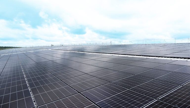 Roof covered in solar panels