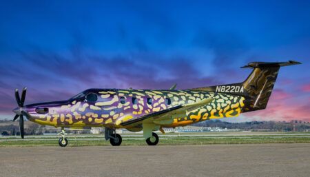 aircraft exterior with fish-inspired paint scheme