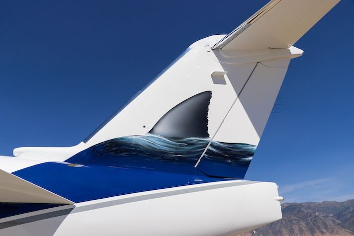 Aircraft tail fin with shark emerging from water design